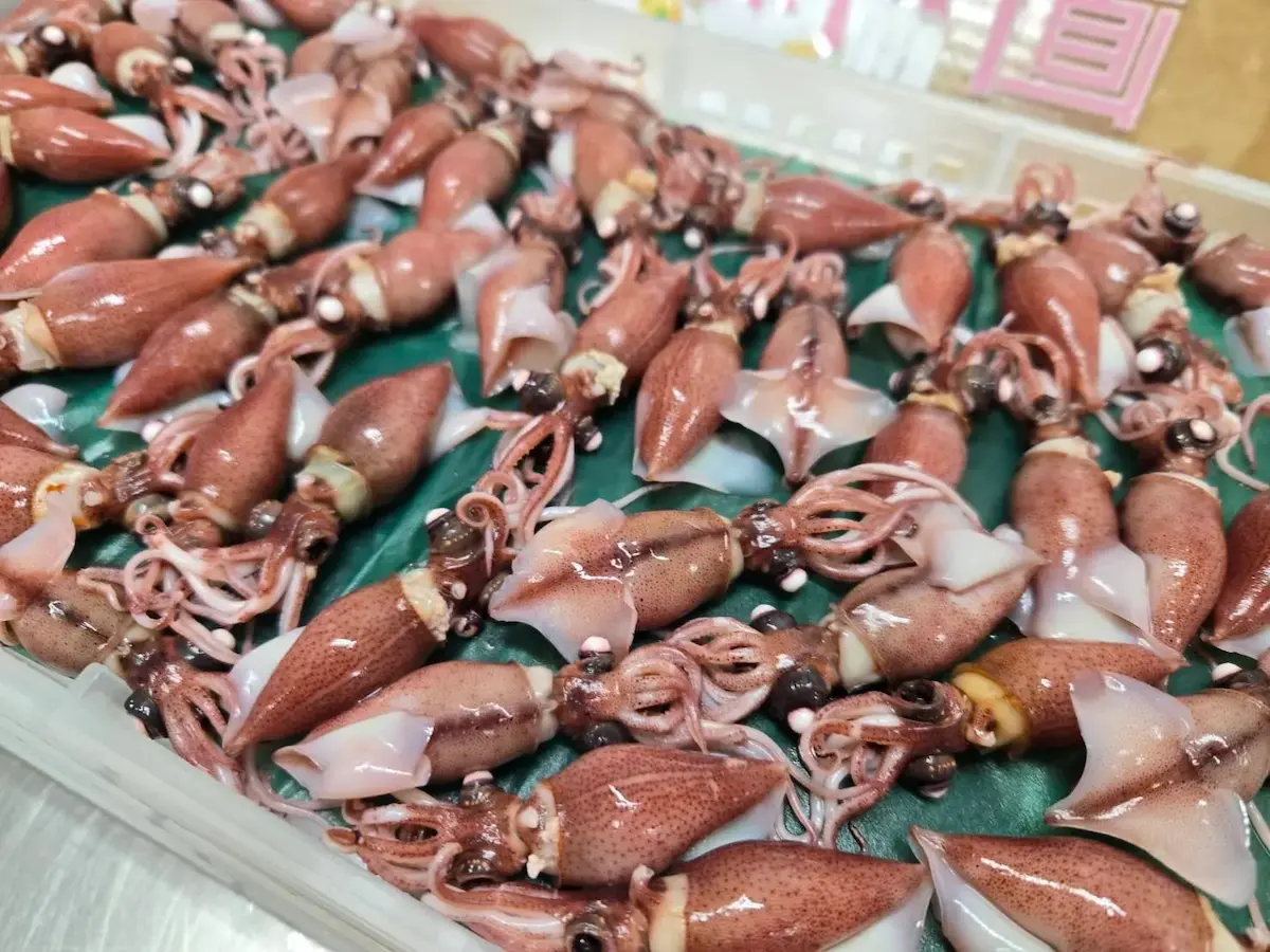 Hotaruika firefly squid — Sashimi DC Washington DC