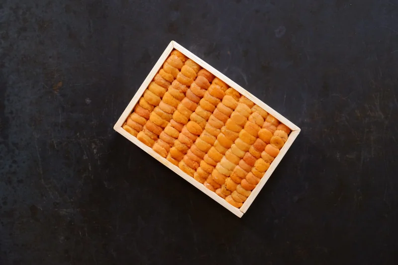 Bafun Uni — Hokkaido, Japan