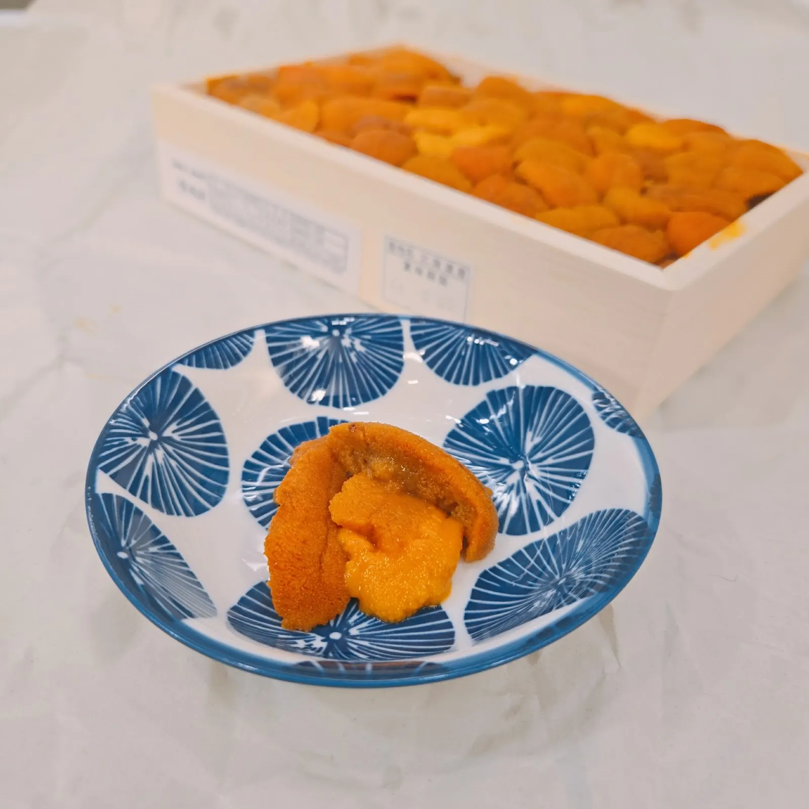 Bafun Uni Catch Points loyalty program Sashimi DC