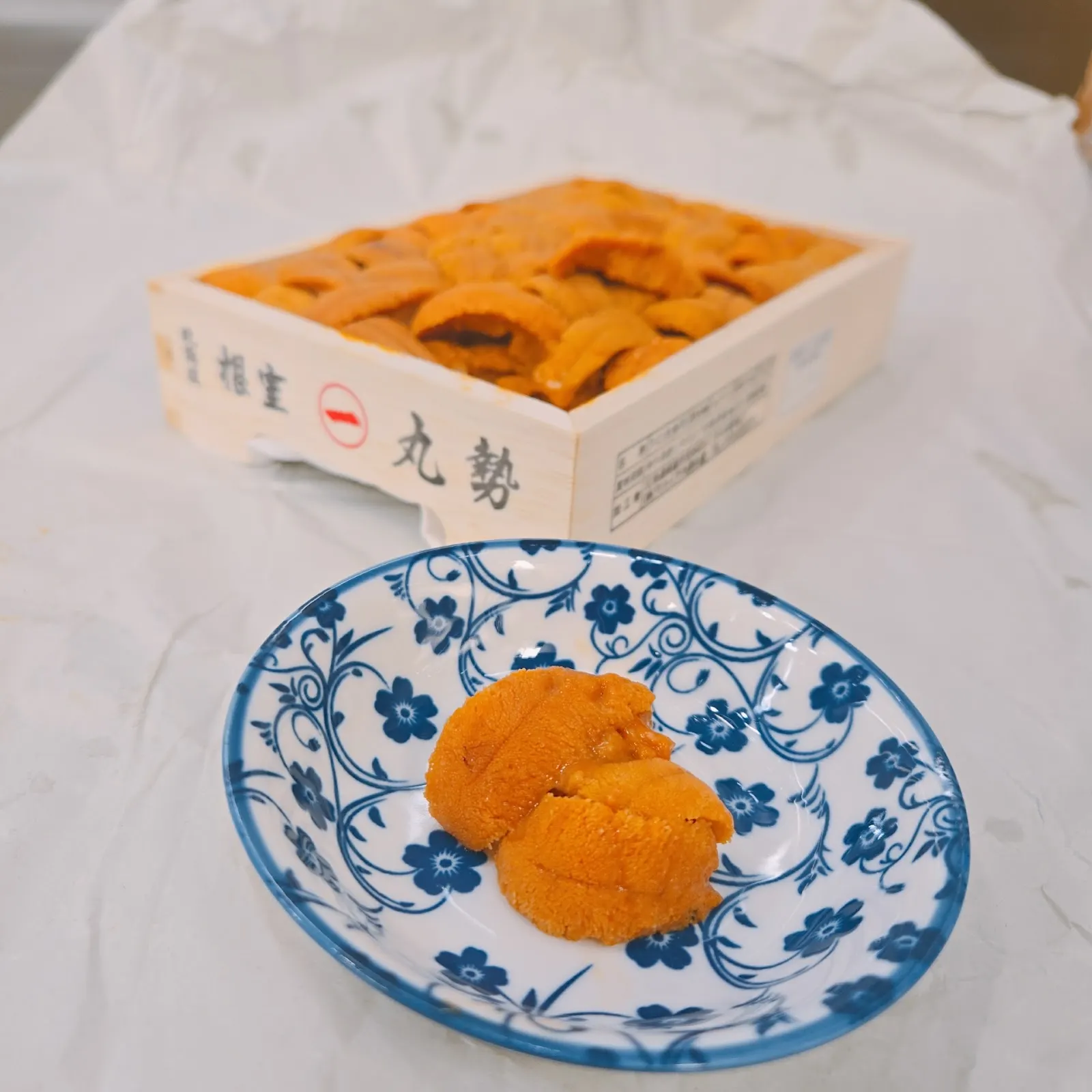 Hokkaido Uni final weeks 2024 Sashimi DC