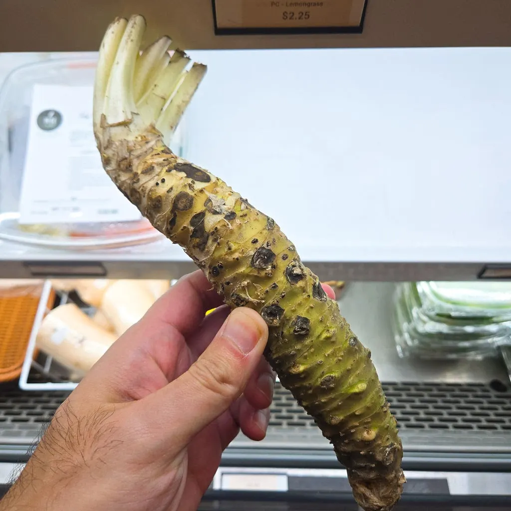 Fresh real wasabi hon-wasabi Sashimi DC