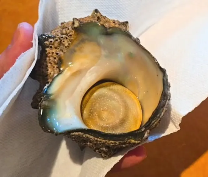 Sazae turban shell Sashimi DC Washington DC