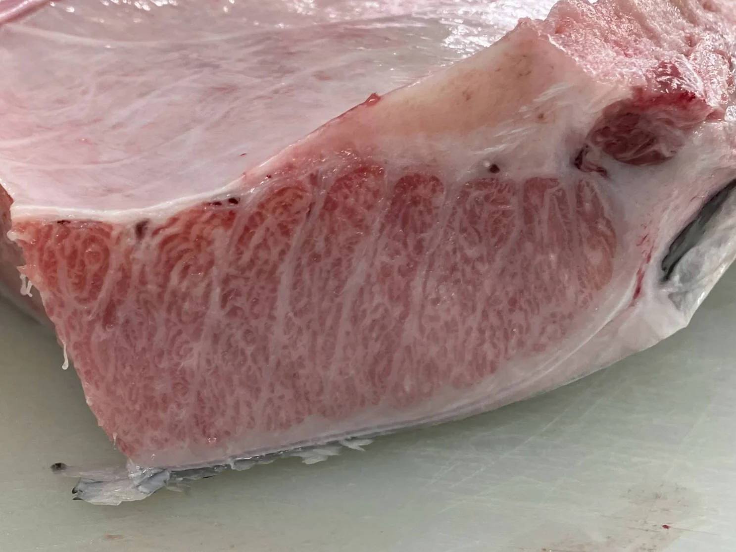 Goto Nagasaki Bluefin Returns