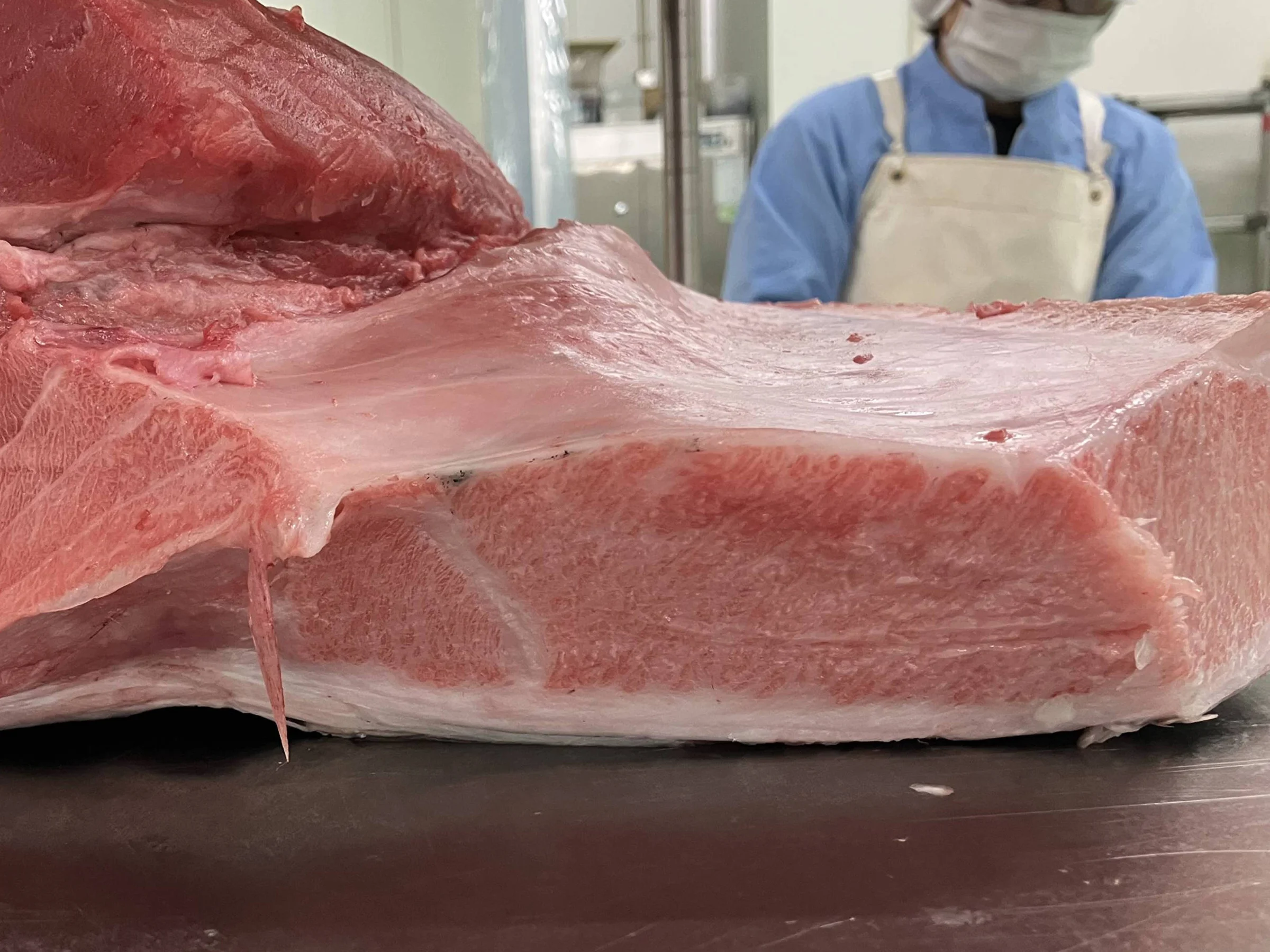 Exceptional Winter Bluefin Tuna