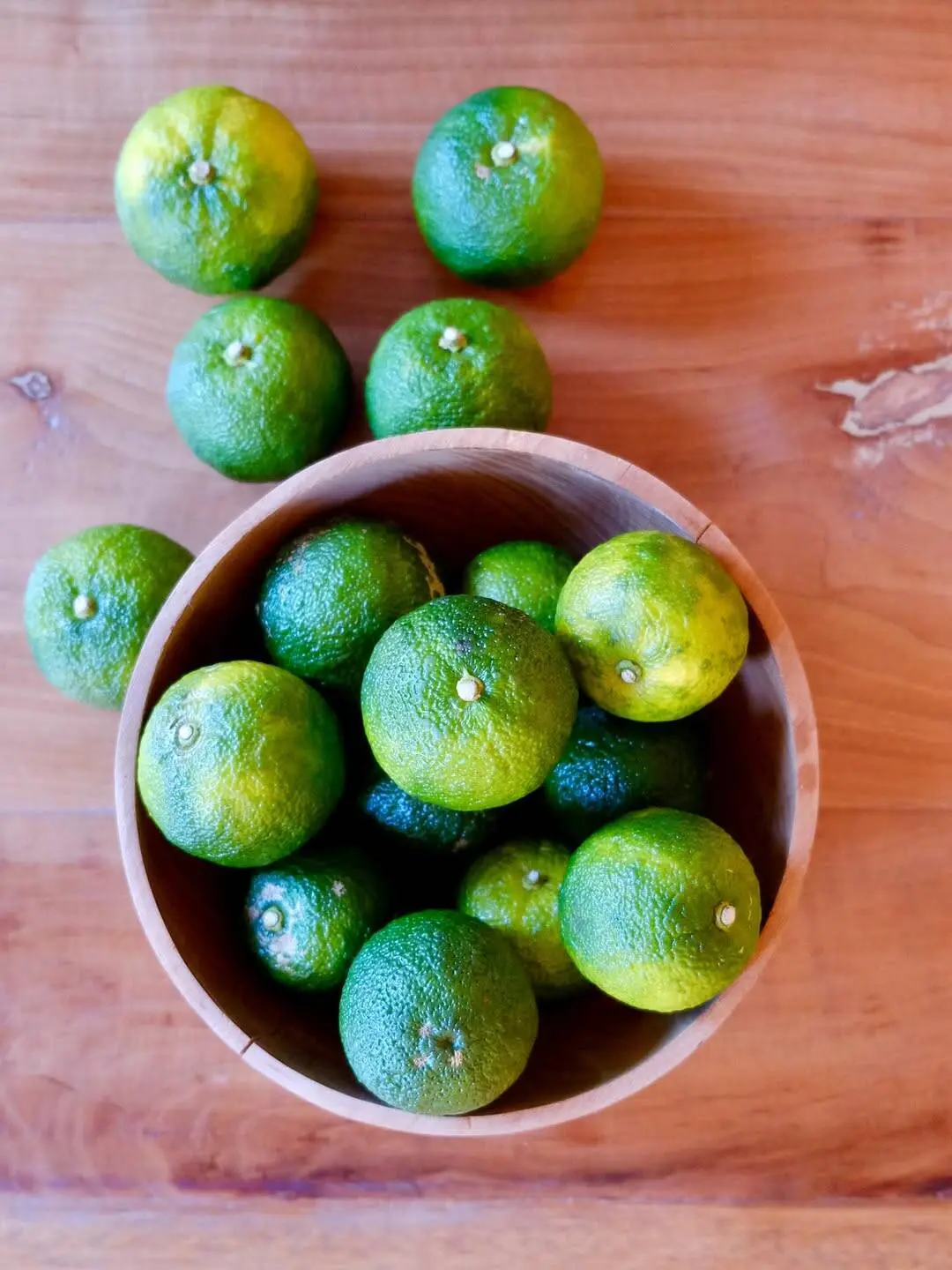 Yuzu Kosho Making Class