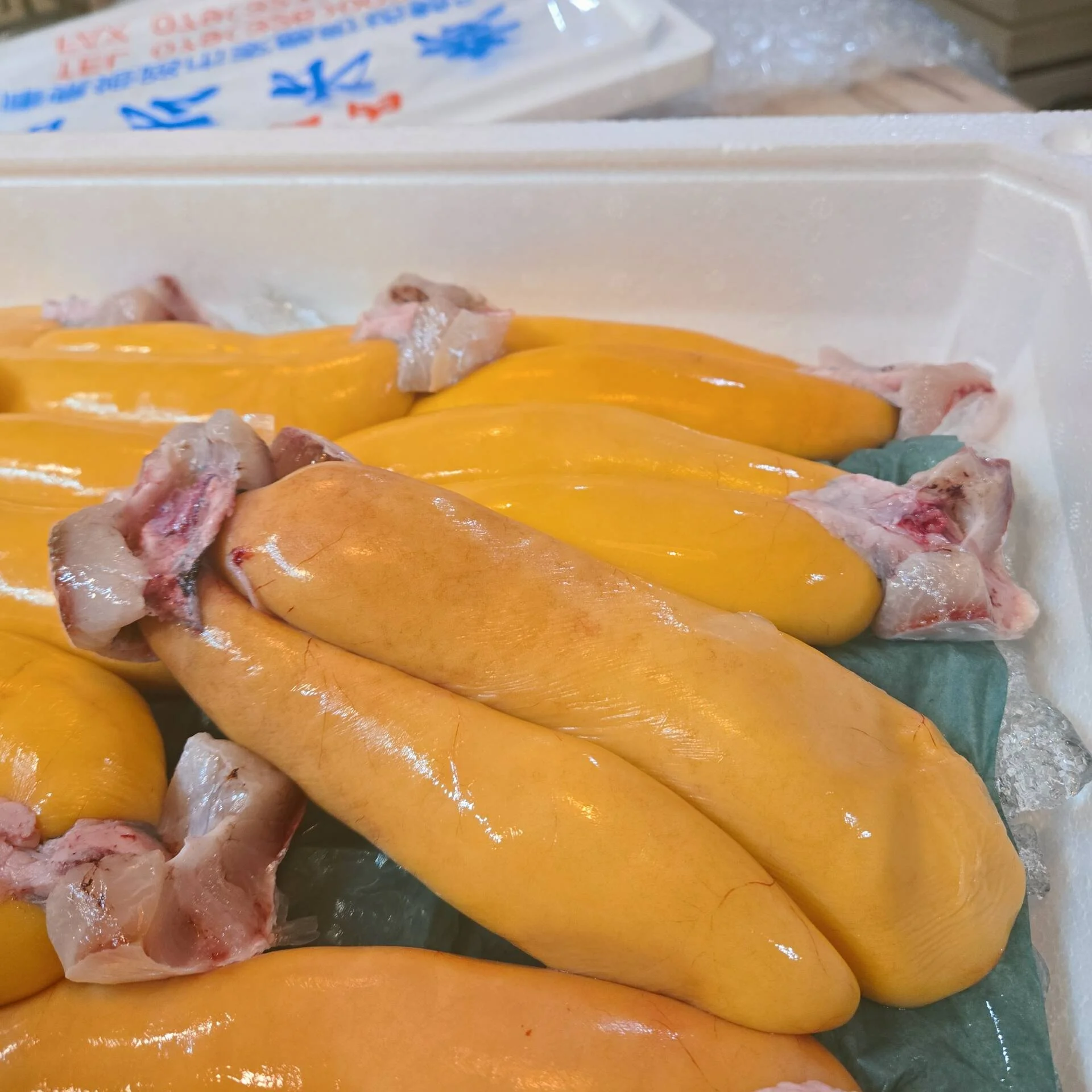 Himeji Borako Arrives