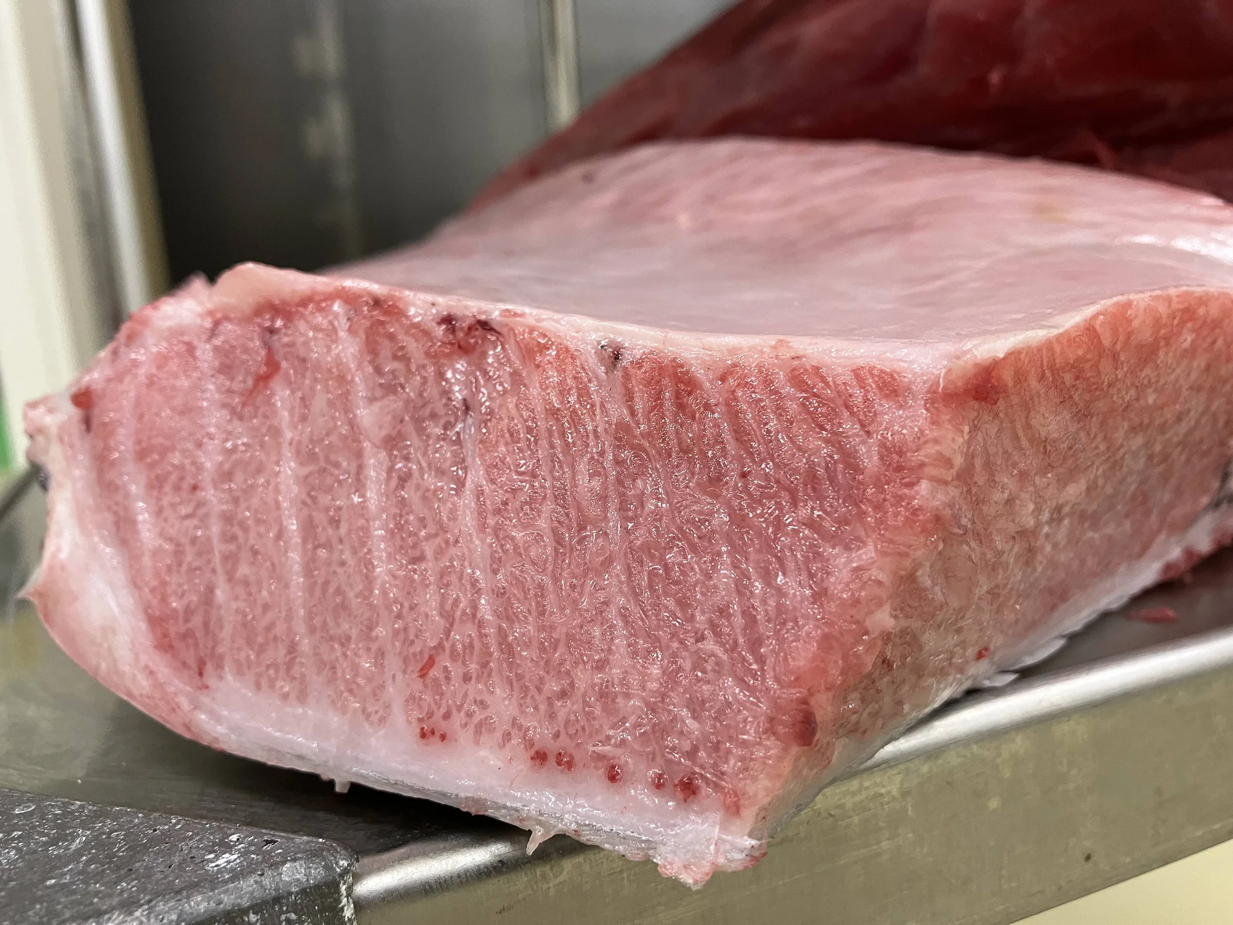 Holiday Hours and Winter Bluefin Tuna