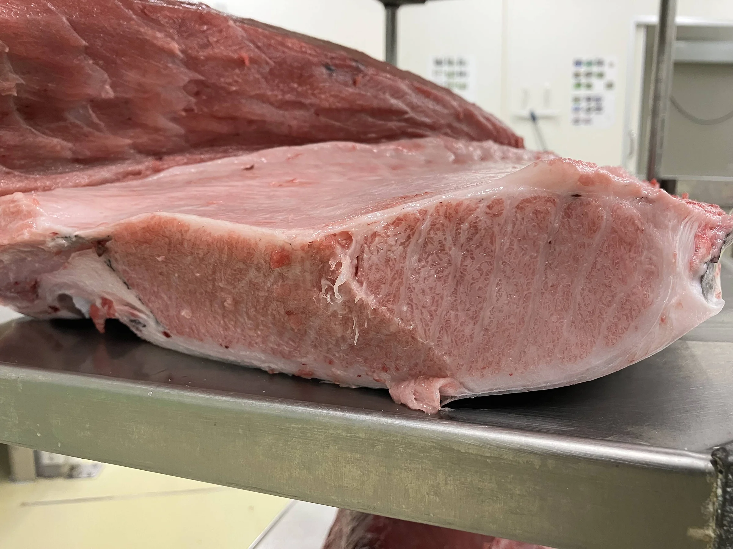 Sushi Making Classes Resume in April — Sashimi DC