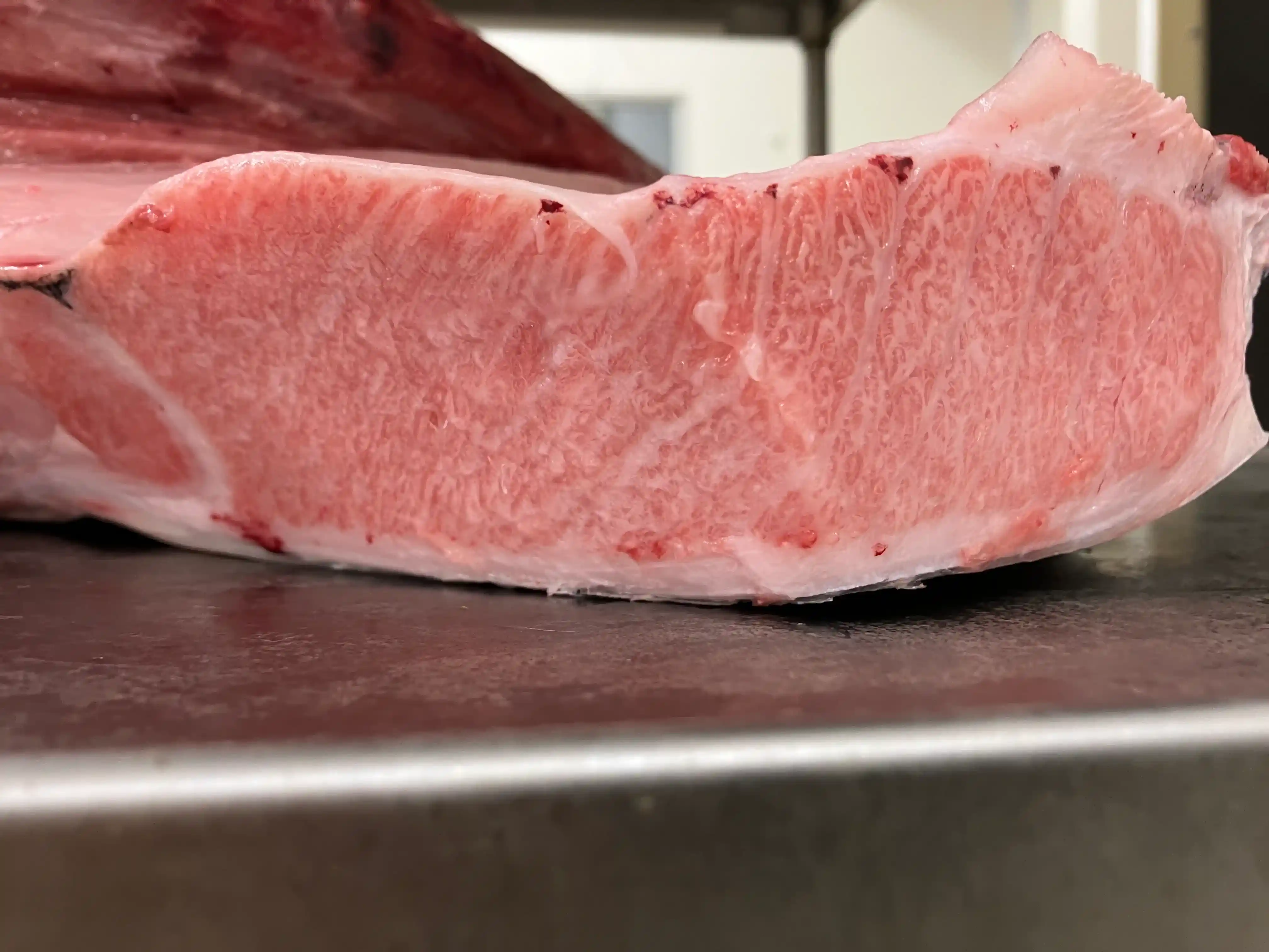 Sashimi DC — April 15, 2026 update