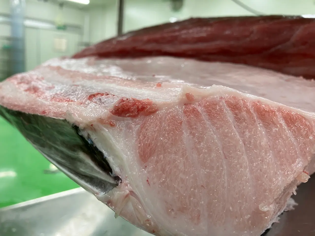 Sashimi DC — May 27, 2026 update