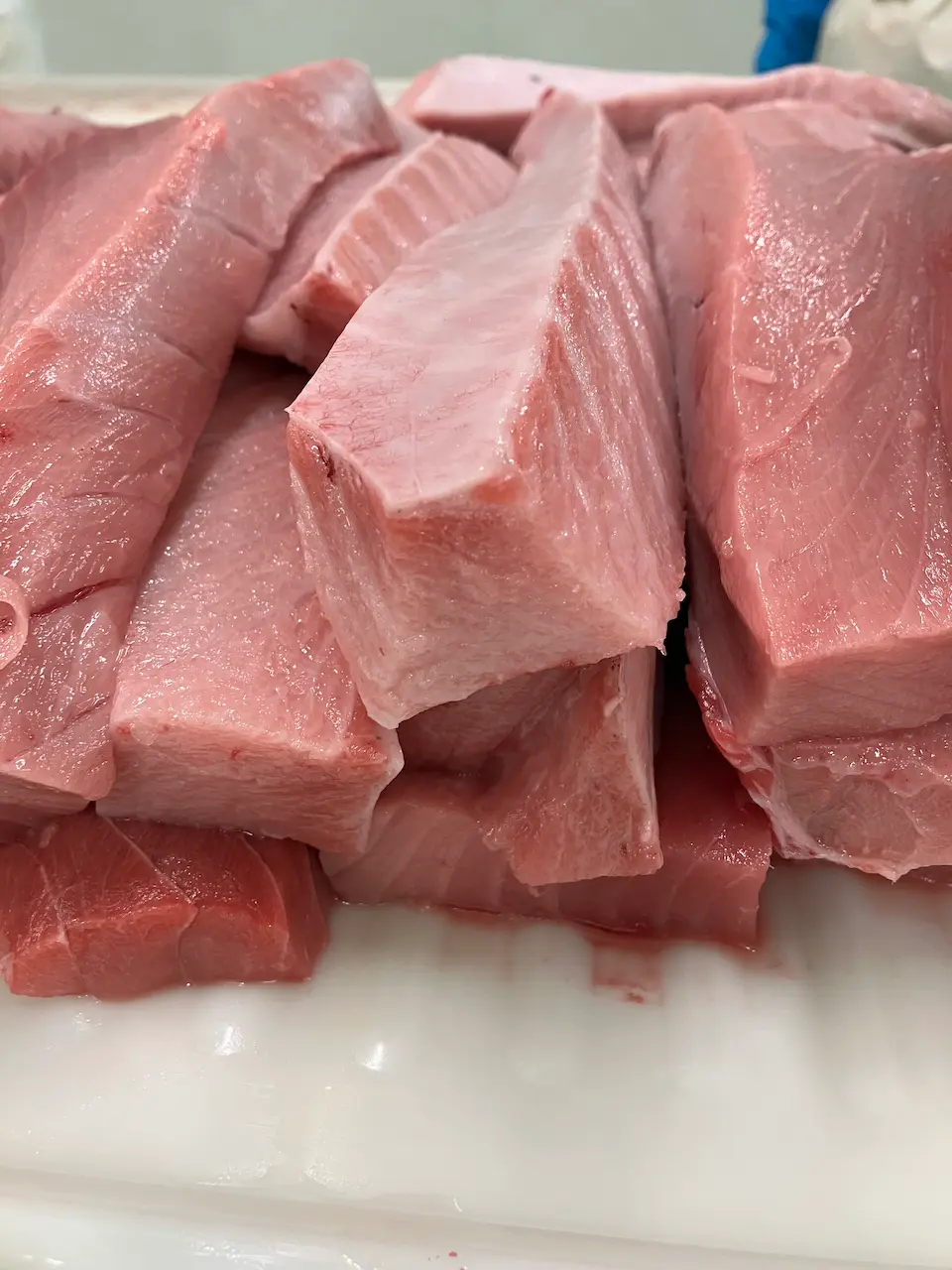 Sashimi DC — June 10, 2026 update