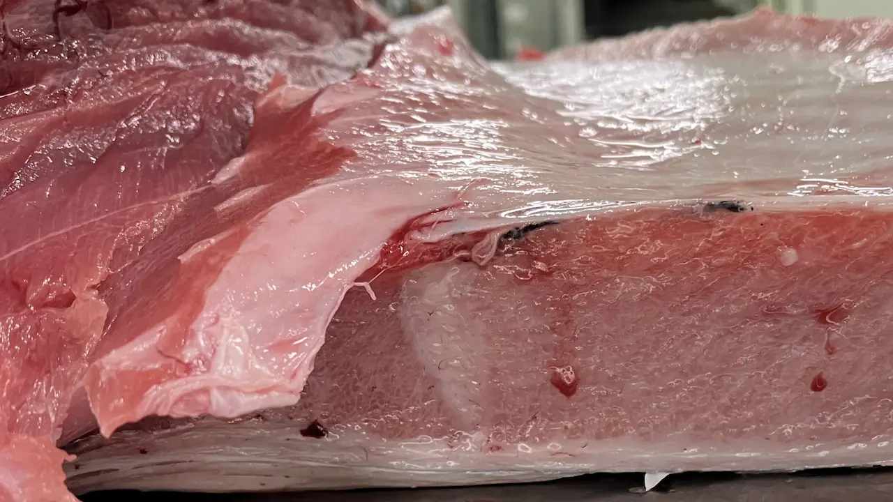 Sashimi DC — July 23, 2026 update
