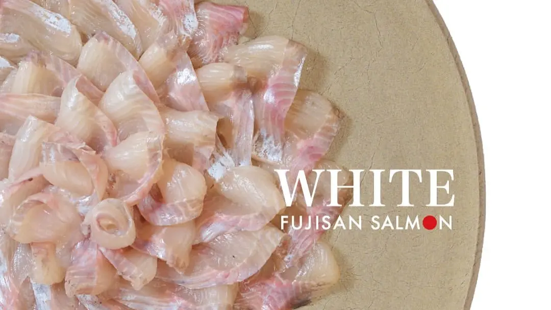 Sashimi DC — September 2, 2026 update