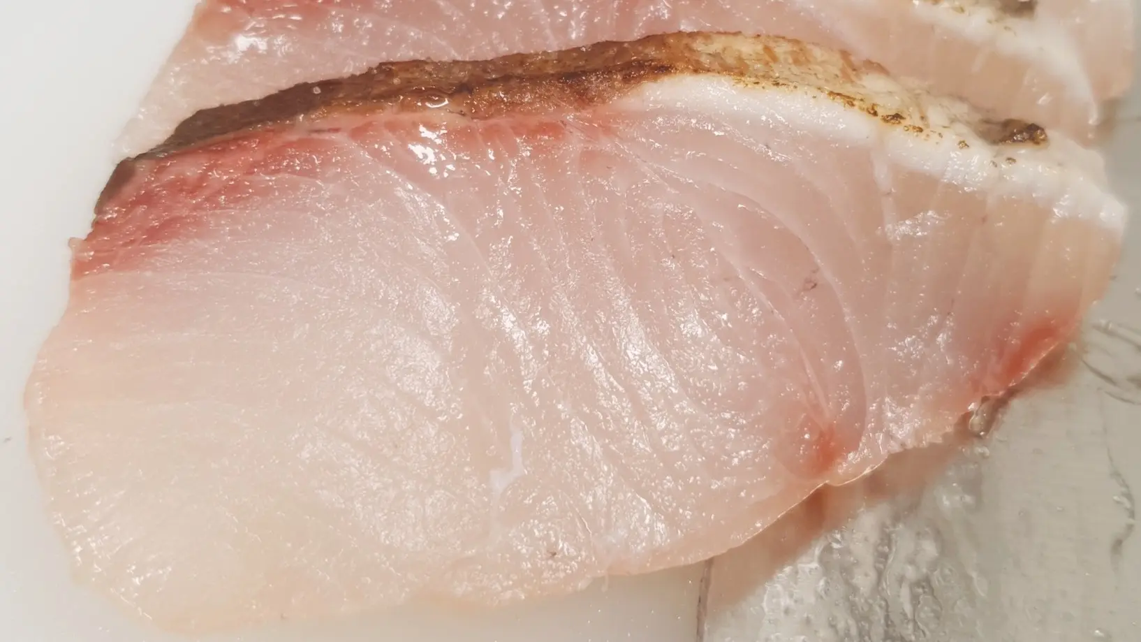 Sashimi DC — September 9, 2026 update