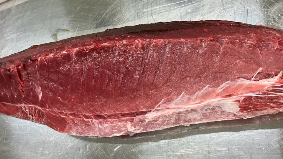 Sashimi DC — September 16, 2026 update