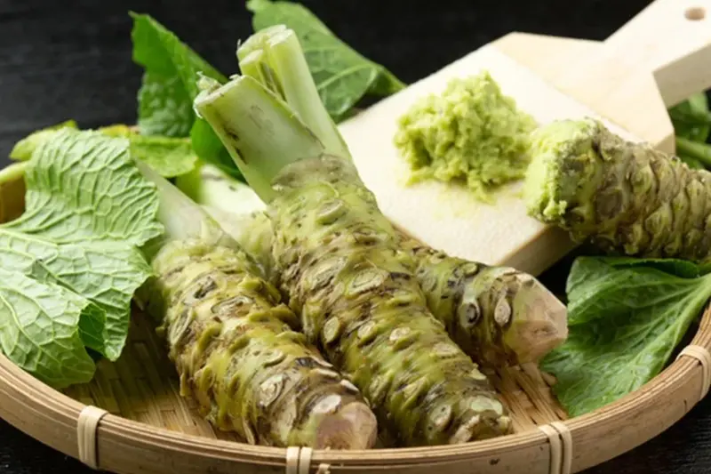Fresh Wasabi — Real Wasabia japonica from Shizuoka